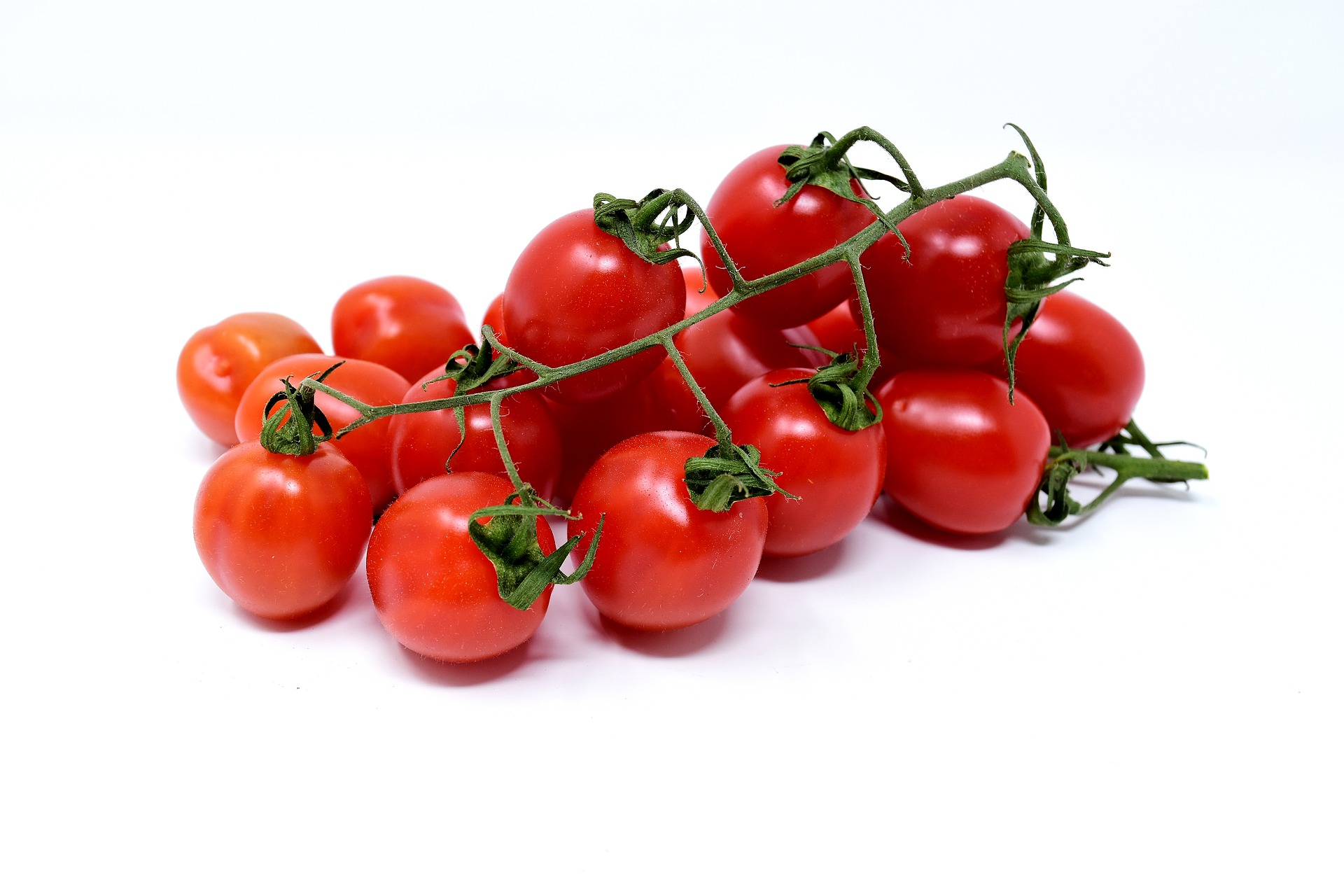 Tomato