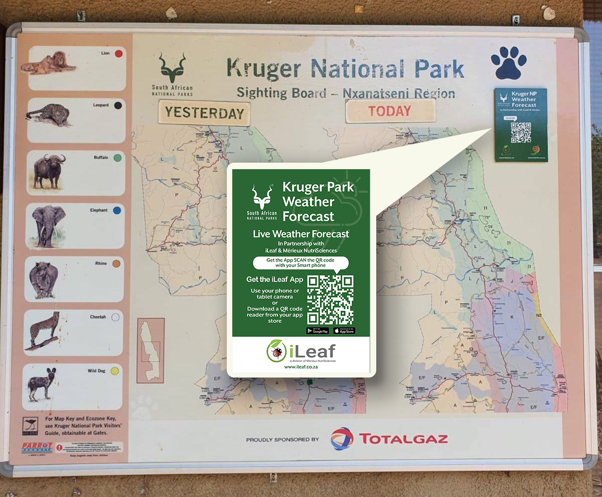 QR Codes in Kruger NP